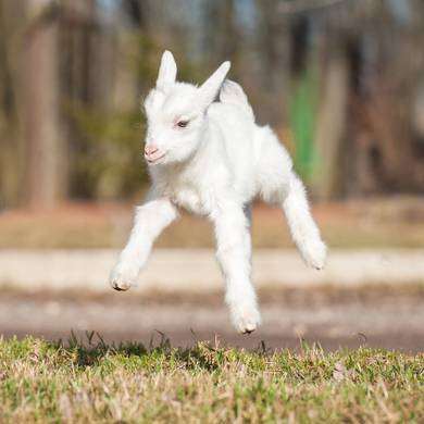 Picture 2 for the Daily puzzle on September 12 2026