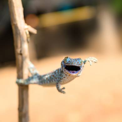 Picture 3 for the Daily puzzle on September 12 2026