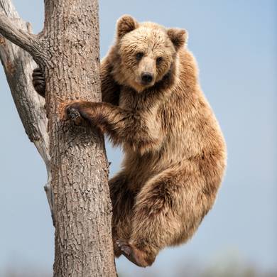 Picture 1 for the Daily puzzle on September 16 2026