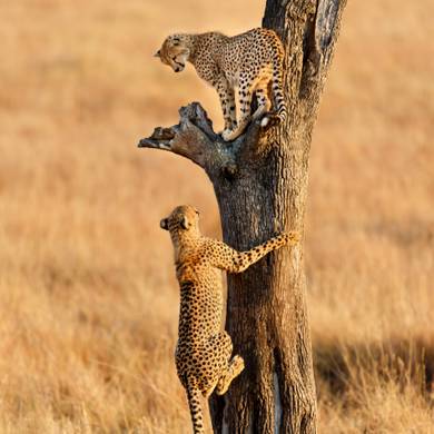 Picture 3 for the Daily puzzle on September 16 2026
