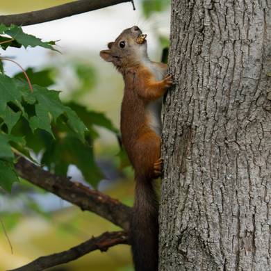 Picture 4 for the Daily puzzle on September 16 2026
