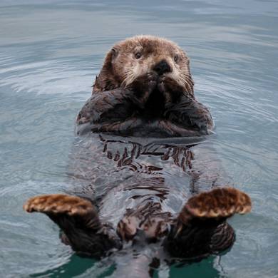 Picture 4 for the Daily puzzle on September 17 2026