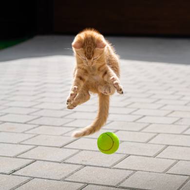 Picture 3 for the Daily puzzle on September 20 2026