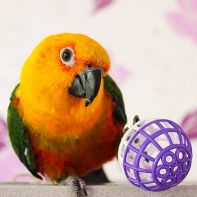 Picture 4 for the Daily puzzle on September 20 2026