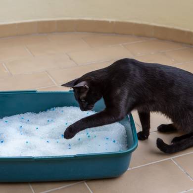 Picture 2 for the Daily puzzle on September 24 2026