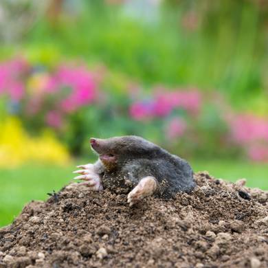 Picture 4 for the Daily puzzle on September 24 2026