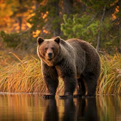 Picture 4 for the Daily puzzle on October 8 2026