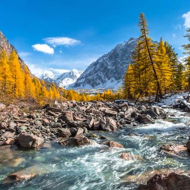 Picture 1 for the Daily puzzle on October 15 2026