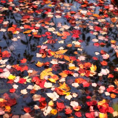 Picture 2 for the Daily puzzle on October 15 2026