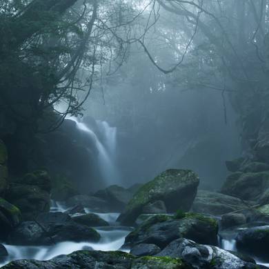 Picture 1 for the Daily puzzle on October 17 2026