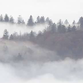 Picture 3 for the Daily puzzle on October 17 2026