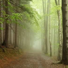 Picture 4 for the Daily puzzle on October 17 2026