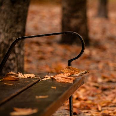 Picture 3 for the Daily puzzle on October 20 2026