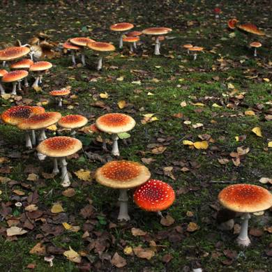 Picture 3 for the Daily puzzle on October 21 2026