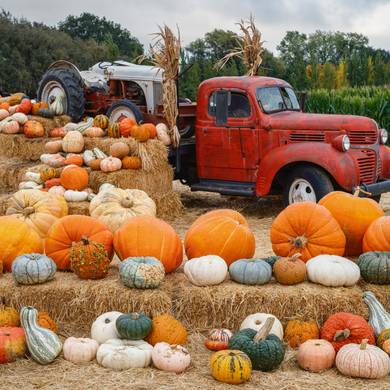 Picture 4 for the Daily puzzle on October 29 2026